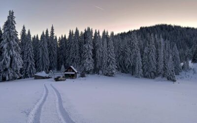 Day Trip to magical Zabljak under the snow