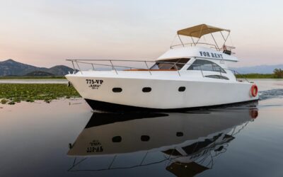 The Group Lioness Mothers Day no 3