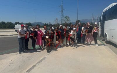 A Heartfelt Welcome to The Group Lioness Mothers