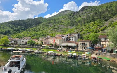 VIP Boat Tour on Skadar Lake to/from Rijeka Crnojevica
