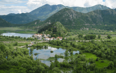 VIP Boat Tour on Skadar Lake to/from Virpazar