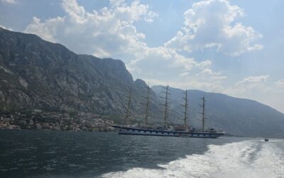 The Group Lioness Mothers Day no 4