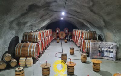 מונטנגרו – היקב פלנטאזה פודגוריצה – סיור ביקב הגדול ביותר במונטנגרו