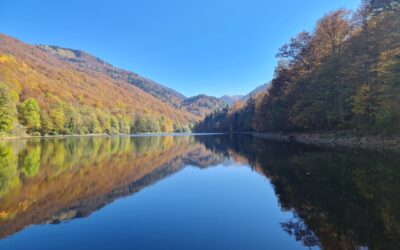 שמורת הטבע ביואגראדסקה גורה – מונטנגרו – כל האטרקציאות המלצות עבור המטייל הישראלי